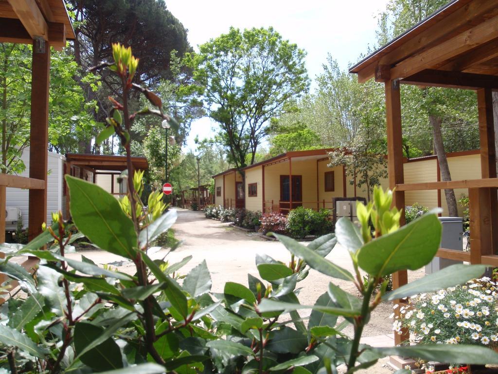 Campeggio Boscoverde Torre del Lago Puccini Buitenkant foto