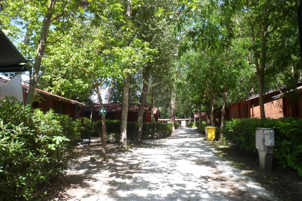 Campeggio Boscoverde Torre del Lago Puccini Buitenkant foto
