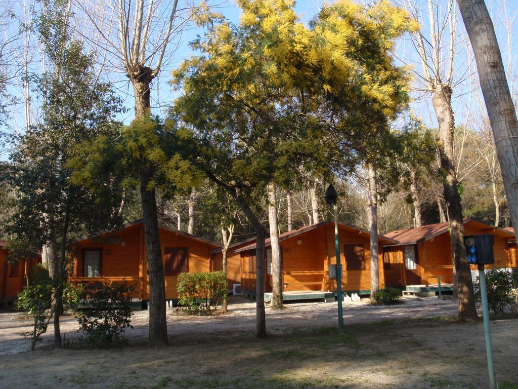 Campeggio Boscoverde Torre del Lago Puccini Buitenkant foto