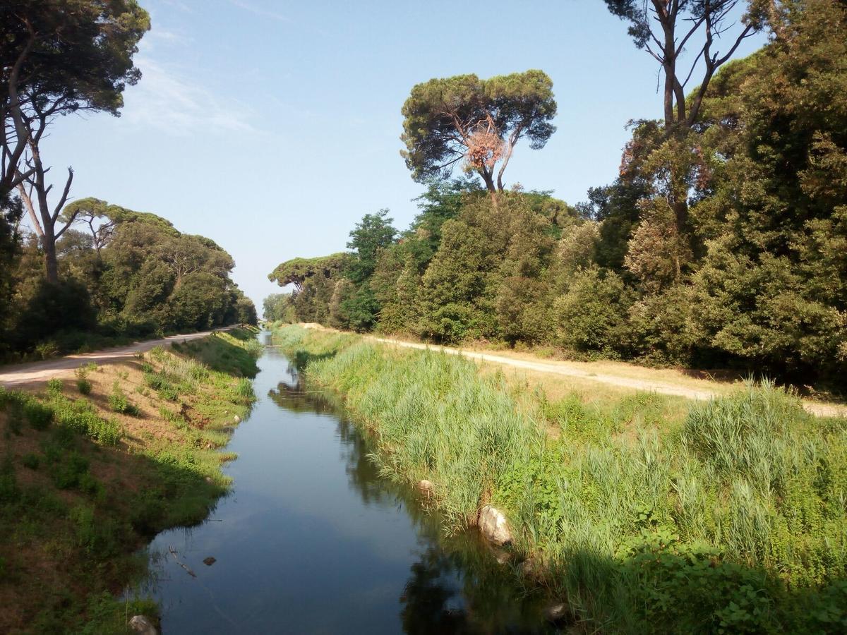 Campeggio Boscoverde Torre del Lago Puccini Buitenkant foto